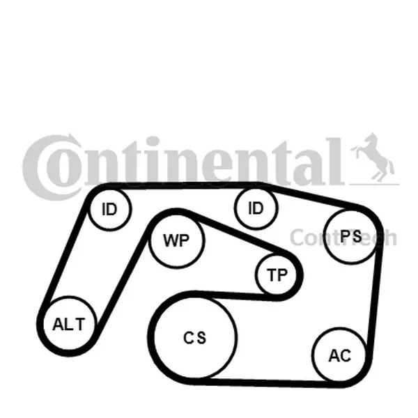 Set curea transmisie cu caneluri CONTINENTAL CTAM 6PK2271K1