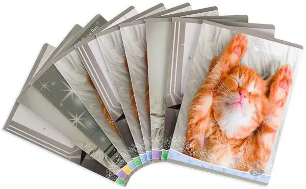 Set de 10 caiete Elisa Sweet Pets - A4, 62 de foi, sortiment