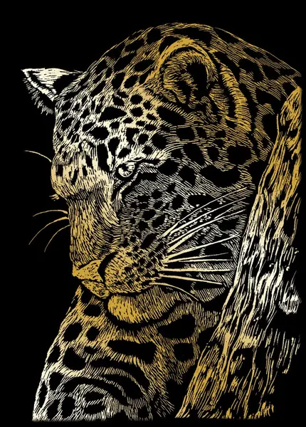 Set de gravură Royal Gold - Leopard, 13 x 18 cm