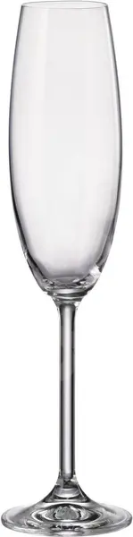 Set de pahare de șampanie Bohemia - Royal 2 for 2, 2 buc x 230 ml