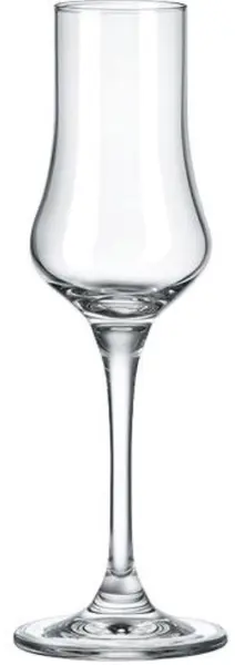 Set de pahare pentru aperitiv Rona - Grappa 6050, 6 buc.x 100 ml
