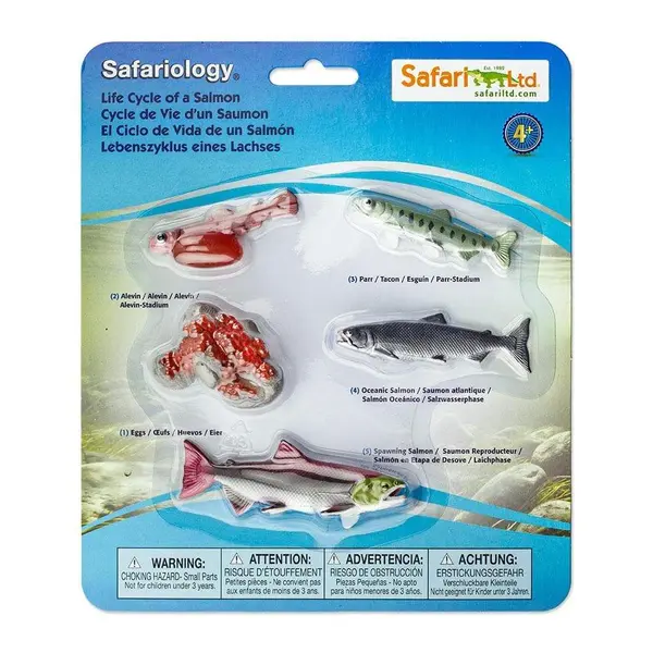 Set figurine - Ciclul vietii la Somon | Safari