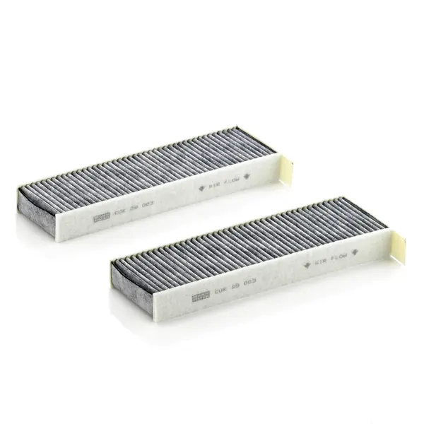 Set filtre habitaclu CA Mann-Filter CUK 29 003-2