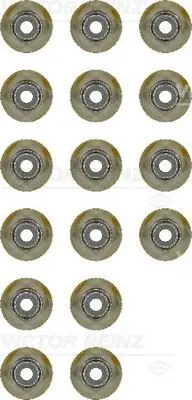 Set garnituri, ax supape VICTOR REINZ 12-10130-01