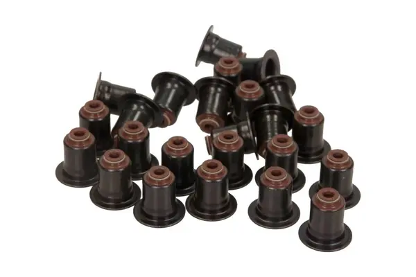 Set garnituri, ax supape VICTOR REINZ 12-36866-02
