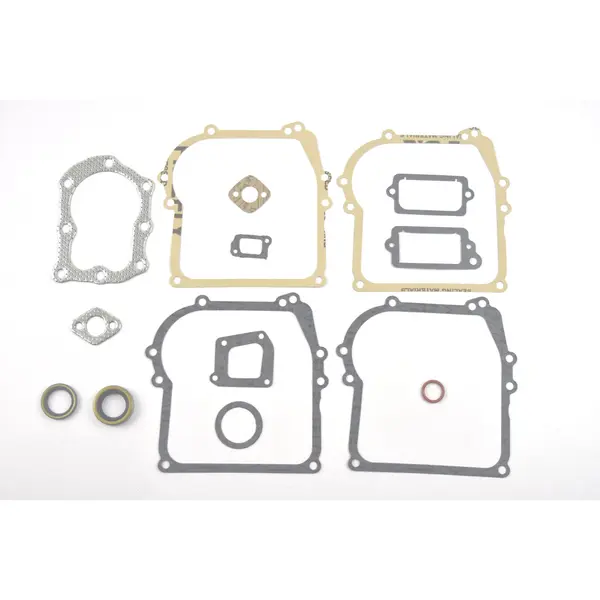 Set Garnituri Briggs&stratton 450 500 Classic
