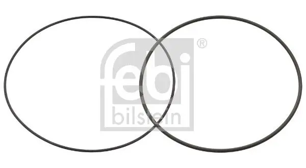 Set garnituri, bucsa cilindru FEBI BILSTEIN 49829