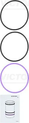 Set garnituri, bucsa cilindru VICTOR REINZ 15-39516-01