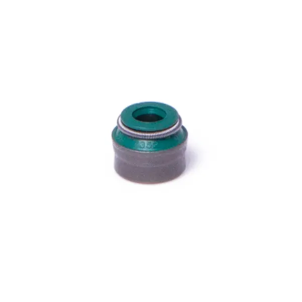 Set garnituri, chiulasa REINWEG RW971609