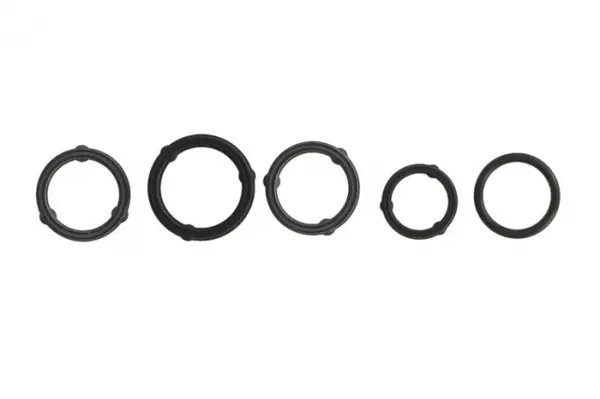 Set garnituri radiator ulei potrivit CHRYSLER 200, 300C, TOWN COUNTRY, VOYAGER V; DODGE AVENGER, CHALLENGER, CHARGER, DURANGO, GRAND, JOURNEY; FIAT FREEMONT; JEEP CHEROKEE 3.2 3.6 3.6ALK 09.10-