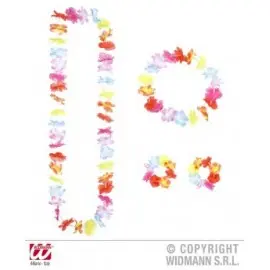 Set hawaii multicolor 1