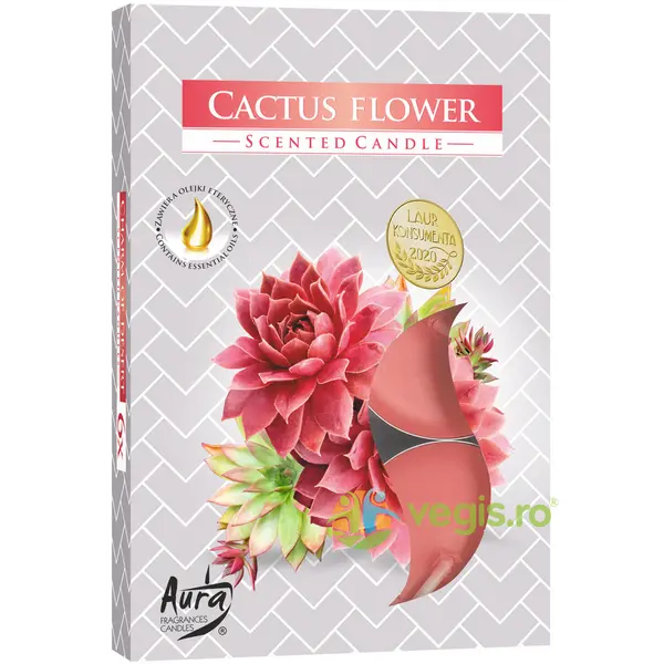 Set Lumanari Tip Pastila Floare de Cactus 6 buc.