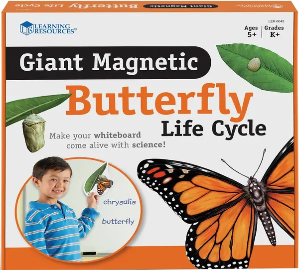 Set magnetic Learning Resources - Ciclul de viață al unui fluture
