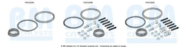 Set montare, catalizator BM CATALYSTS FK91259