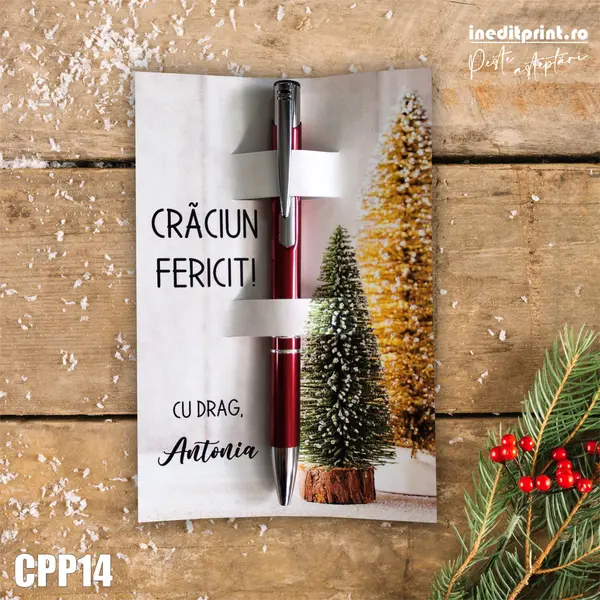 Set Pix + Cartonas personalizat Craciun CPP14