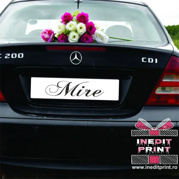 Set Placute decor auto PDA10