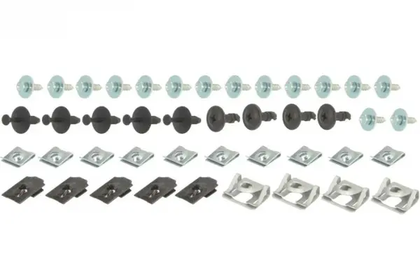 Set prindere scut motor BMW
