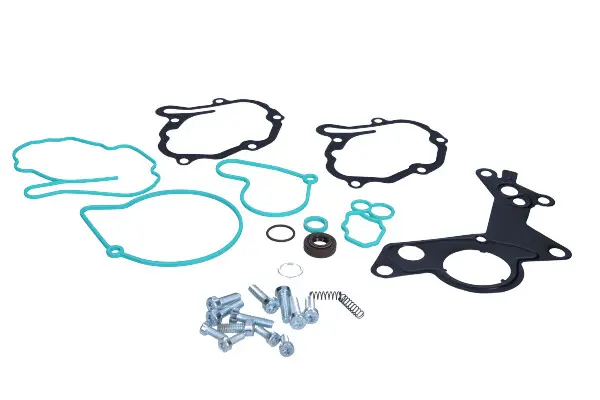 Set reparatie, pompa vacuum (Siste frana) Meat & Doria 91147