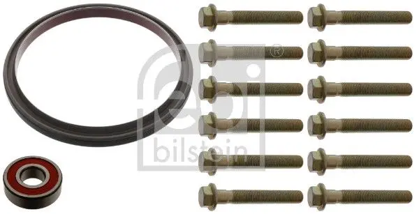 Set reparatie, volanta FEBI BILSTEIN 45615