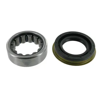 Set rulment roata SKF VKBA 6681