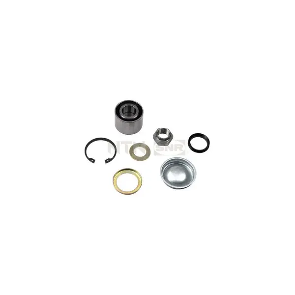 Set rulment roata SNR R159.19