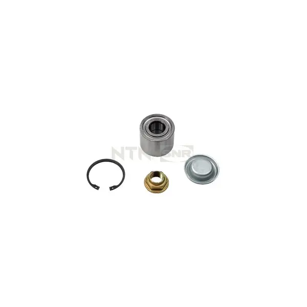 Set rulment roata SNR R159.48