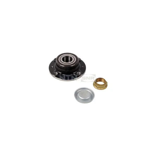 Set rulment roata SNR R166.31