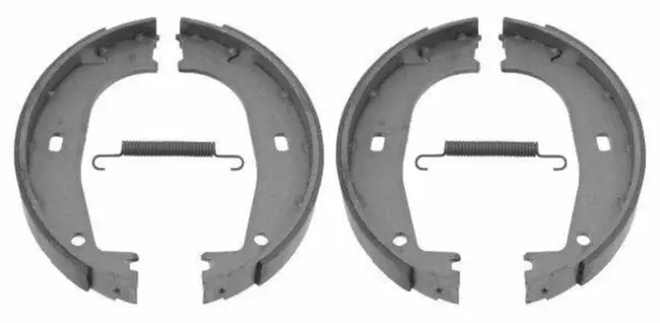 Set saboti frana, frana de mana DELPHI LS2159