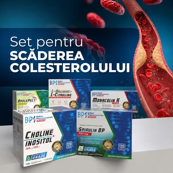 SET: Scăderea Colesterolului