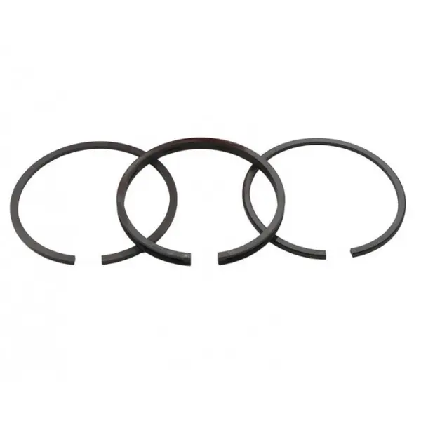 Set Segmenti Piston Briggs- Stratton 65,09mm (2X2X4,75 mm) Caber, Italia