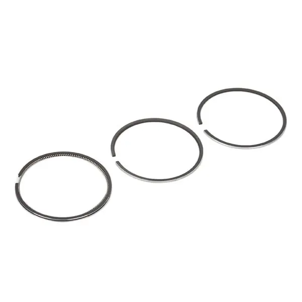 Set segmenti piston KOLBENSCHMIDT 800000610050