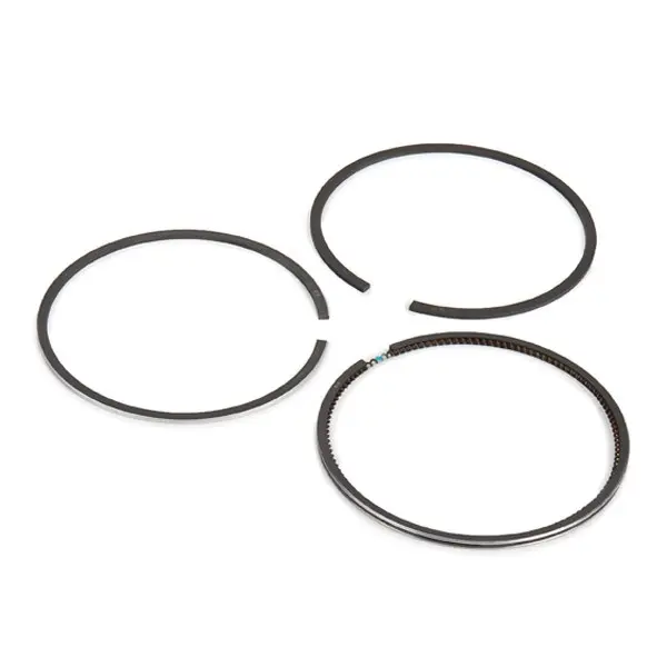 Set segmenti piston KOLBENSCHMIDT 800003411000