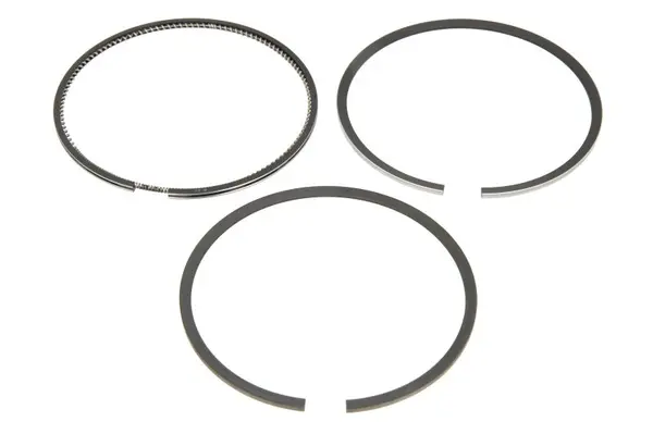 Set segmenti piston KOLBENSCHMIDT 800007310000