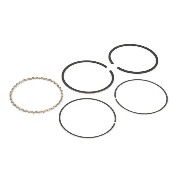 Set segmenti piston KOLBENSCHMIDT 800009410000