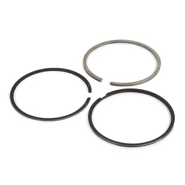 Set segmenti piston KOLBENSCHMIDT 800009810000