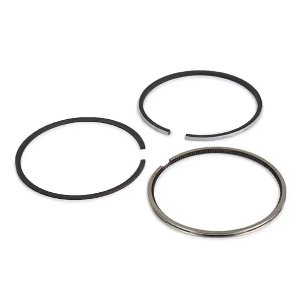 Set segmenti piston KOLBENSCHMIDT 800018411060