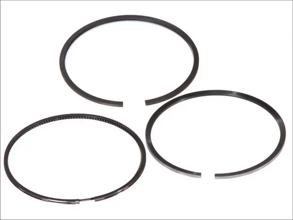 Set segmenti piston KOLBENSCHMIDT 800030010000