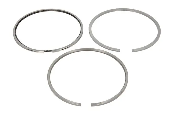Set segmenti piston KOLBENSCHMIDT 800079310000