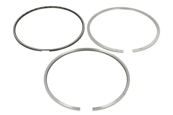 Set segmenti piston KOLBENSCHMIDT 800108310000