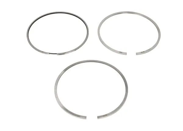 Set segmenti piston KOLBENSCHMIDT 800108810000