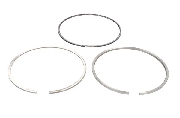 Set segmenti piston KOLBENSCHMIDT 800108910000