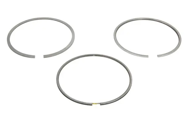 Set segmenti piston KOLBENSCHMIDT 800116310000