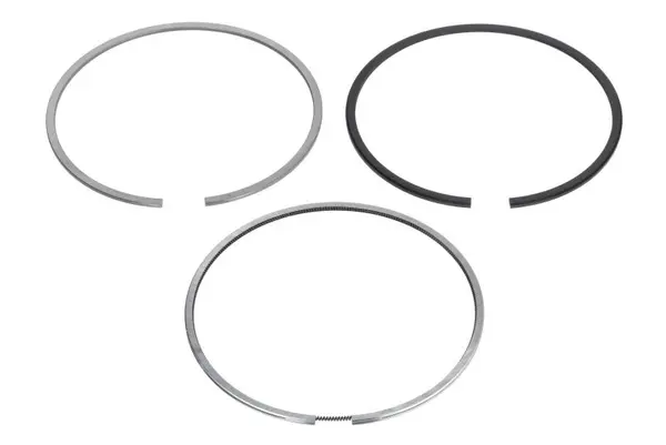 Set segmenti piston KOLBENSCHMIDT 800119510000