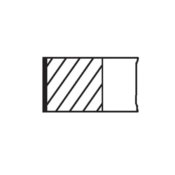 Set segmenti piston MAHLE 030 20 N0