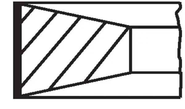 Set segmenti piston MAHLE 229 05 N0