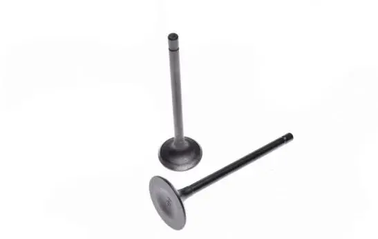 Set Supape, Motor 162FMJ