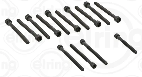 Set surub, chiulasa ELRING 270.190
