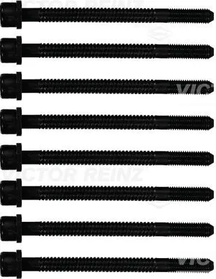 Set surub, chiulasa VICTOR REINZ 14-32054-01