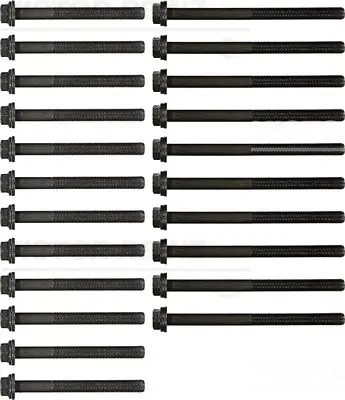 Set surub, chiulasa VICTOR REINZ 14-32096-01