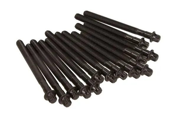 Set surub, chiulasa VICTOR REINZ 14-32101-01